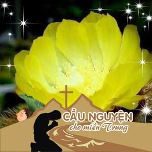 Meet your Posher, Hoa